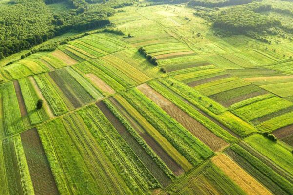 Aerial view of Yinchuan Plain farmland