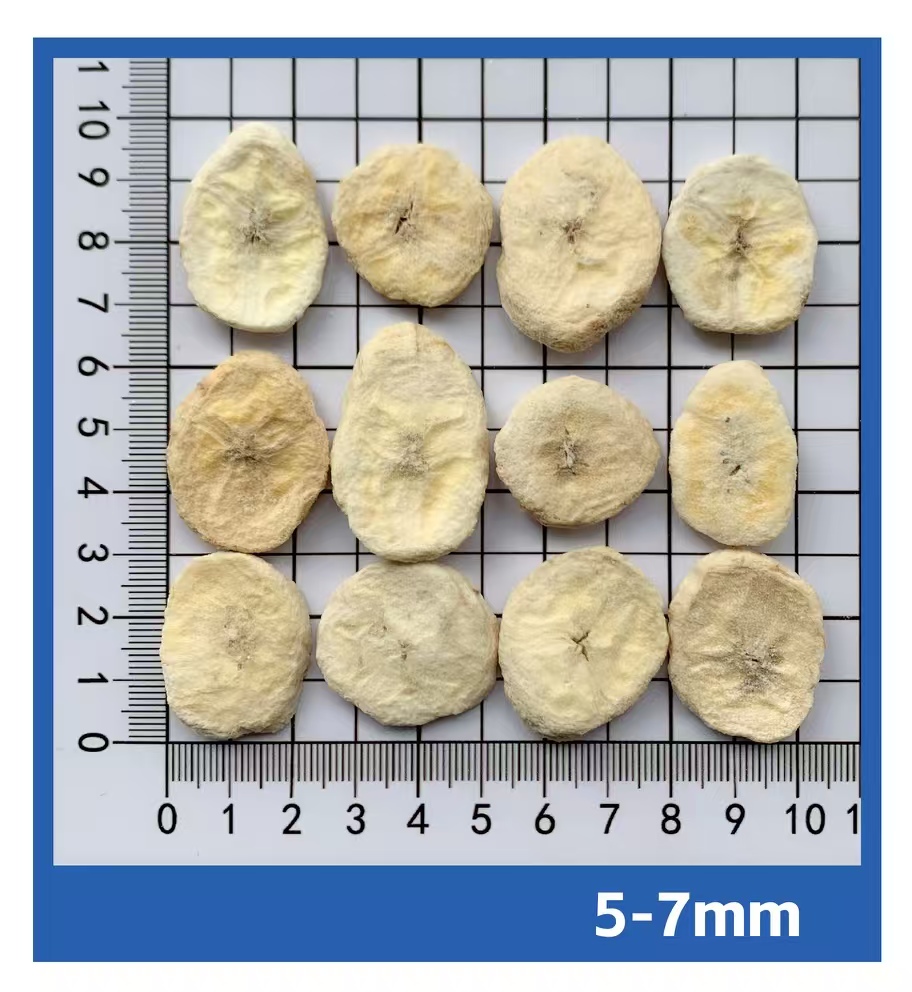 Freeze-Dried Series