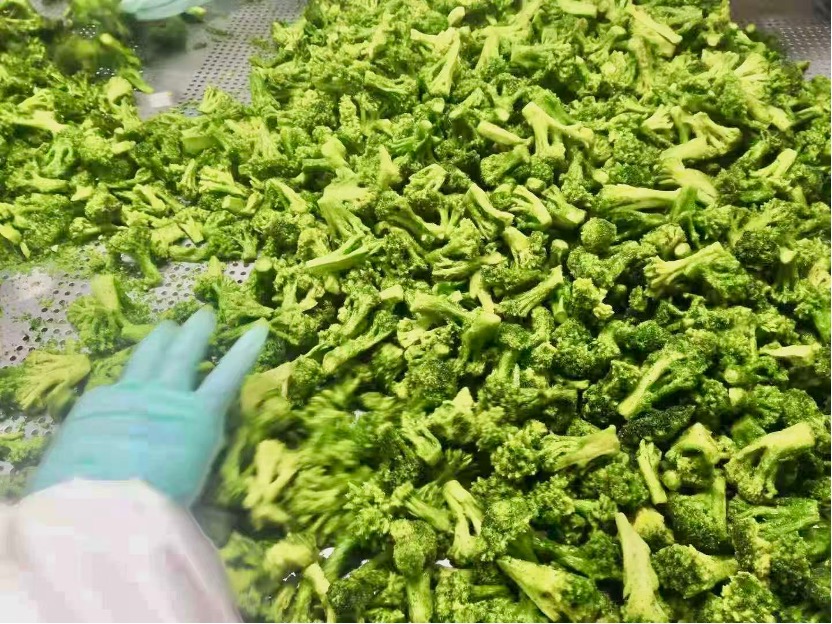 VF Low Temperature Vacuum Frying Broccoli